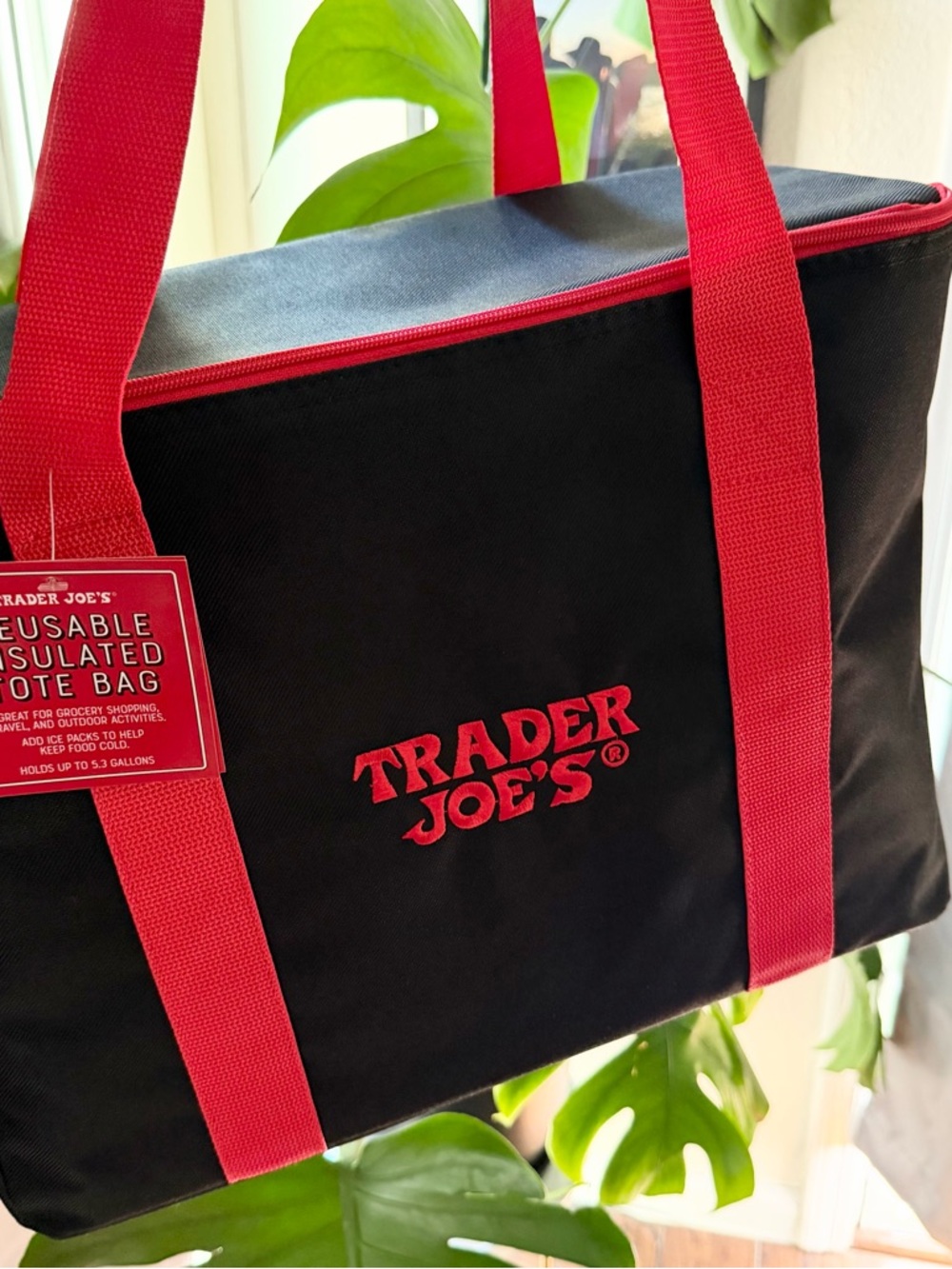 Trader Joe's Black and Red Insulated Tote Bag NEW RELEASE LIMITED EDITION